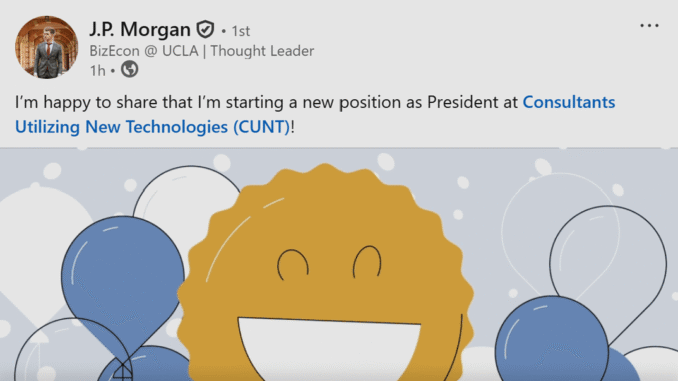 LinkedIn Consulting (CUNT)